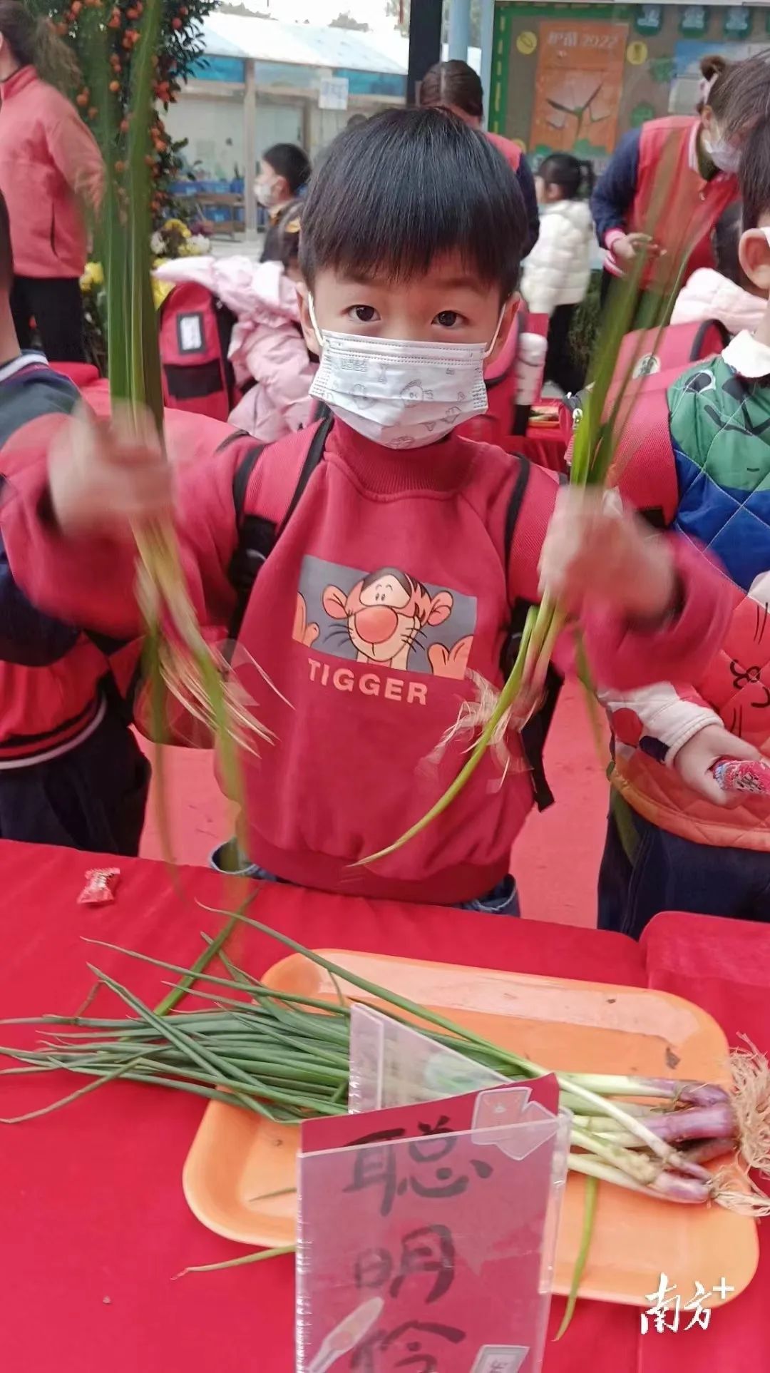 顺德杏坛英杰思幼儿园1.jpg 图片