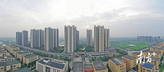 金宁社区已落成21个楼盘。&nbsp; 南方+ 戴嘉信 拍摄