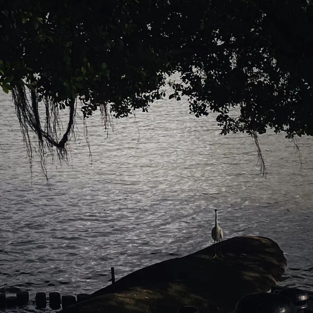 18331682770687_.pic.jpg 图片