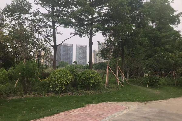 顺德勒流街道龙洲路（西丫片区）节点景观提升改造项目竞争性磋商公告