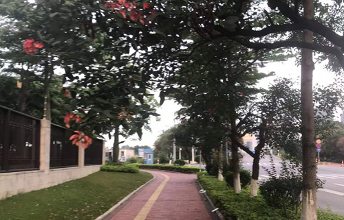 顺德龙江全域文旅再落一子！朝阳农场文旅开发正式签约