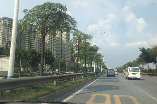 佛山市南海有轨电车1号线2023-2026年供电系统设备维保项目招标公告