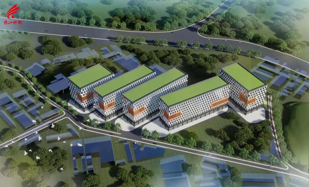 广佛交界又一靓地摘牌！大沥藤编，潮起来！