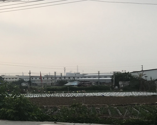 禅城祖庙朝东大豆村地块改造等项目安置房抽签选房服务项目竞争性磋商公告