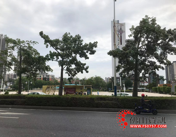 顺德龙江文化广场