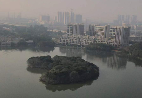 台风“苏拉”凌晨登陆！风险尚未解除，降雨将持续