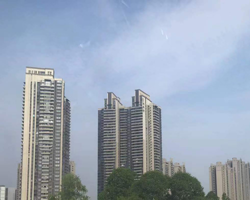 2023年残疾人就业年审开始申报了