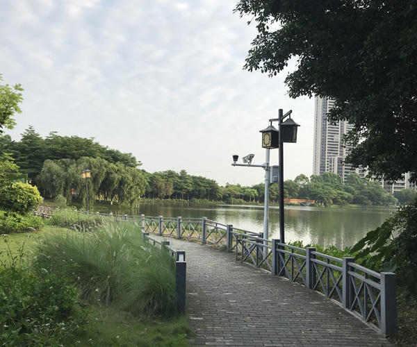 顺峰山公园或被顺德华侨城接管？官方回应来了！