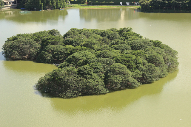 佛山A级景区全攻略！
