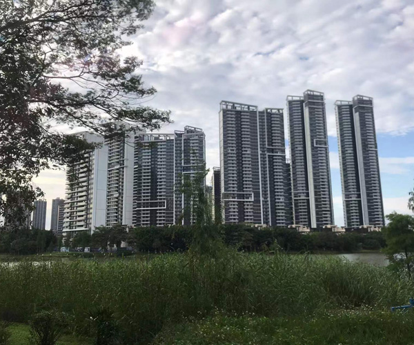 佛山高明创新档案管理 提升服务质效 佛山高明创新档案管理 提升服务质效