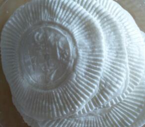 顺德大良牛乳：六百年传承，一道美味的历史印记