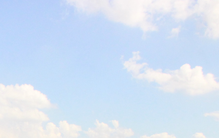 广州增城区新塘镇白石村沙巷股份经济合作社的新塘镇白石村中心路11号商铺出租电子竞投交易公告