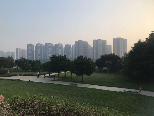 佛山市内露营地推荐，感受自然之美