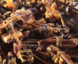 禾杆盖珍珠：白坭疍家人的美食传奇