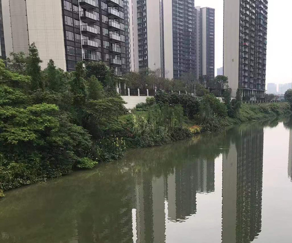 南海狮山镇生活污水提升截污改造项目招标公告