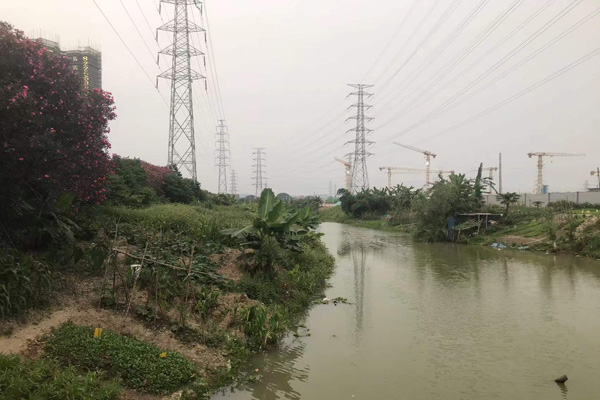 三龙湾碧道陈村涌景观工程（官当水闸至新栏水闸段）（一标段）招标公告