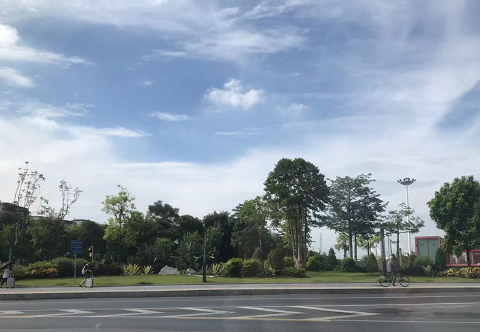 寒假模式开启 广州公安出入境窗口迎来办证“热潮”