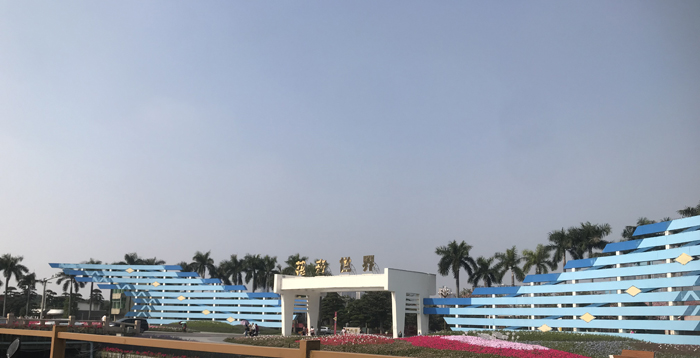 陈村花卉世界：岭南花乡的绚烂之旅