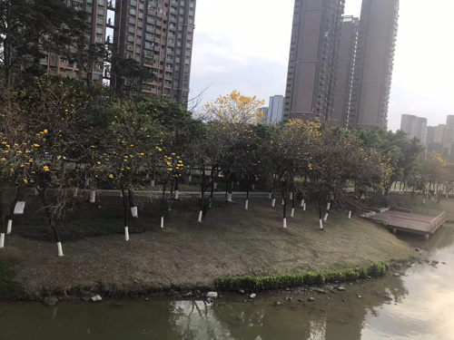 佛山市禅城区旅游景点部分推荐