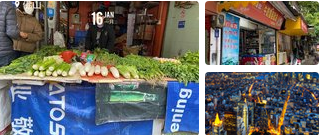 佛山白燕街花鸟市场：繁华的生态与文化交汇点