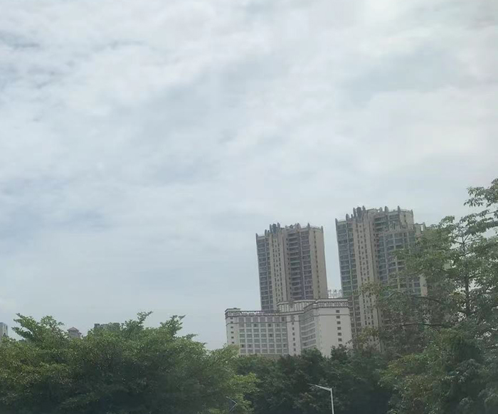 南海区九江石江小学：培育未来之星的摇篮