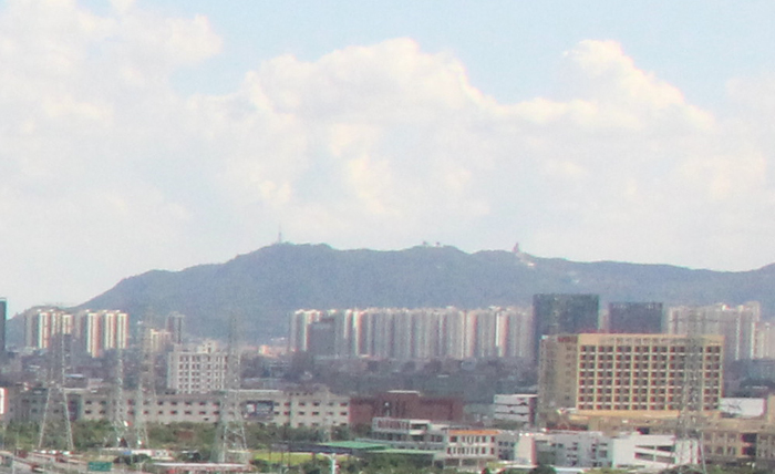 “外资企业+本地企业”强强联合赋能佛山制造业当家