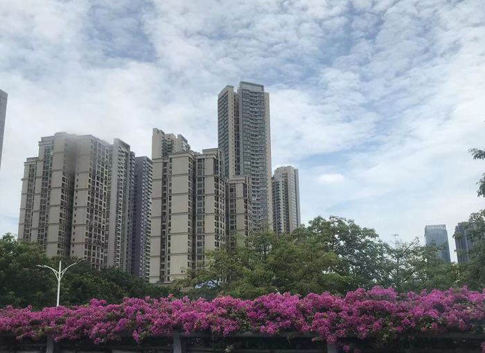 佛山市花园二街小区：繁华都市中的宁静绿洲