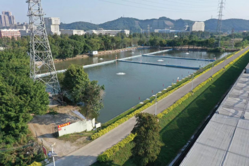 远方钓鱼场 荣获2024年度佛山市首届《金牌人气垂钓园》评选活动