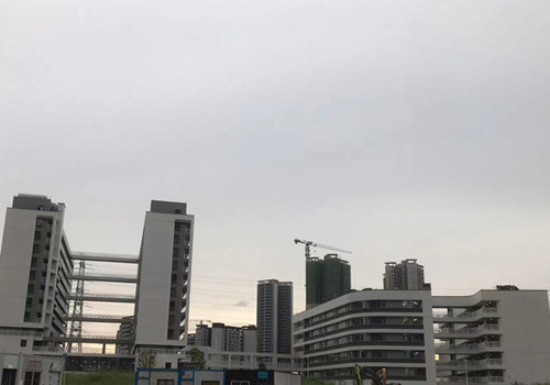 2024年禅城区公办初中自主选校开始了！