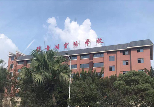 佛山多所民办中小学补录登记入口→