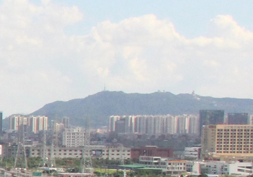 佛山禅城加强科技创新和成果转化 加快培育发展新质生产力