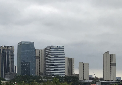 梦想起航的地方——佛山市第四中学附属学校