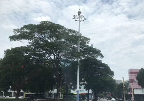 端午寻幽：三水森林公园之旅