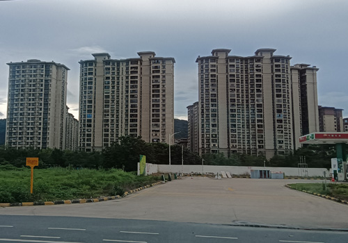 佛山市高明区杨梅镇中心小学：点亮未来的教育灯塔