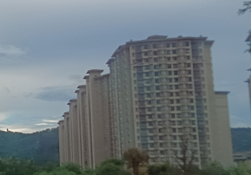 佛山市高明区穗信实验中学：培育未来之星的摇篮