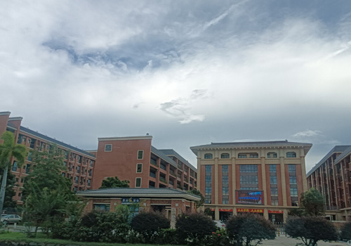 佛山市高明区纪念中学：传承红色基因，培育时代新人