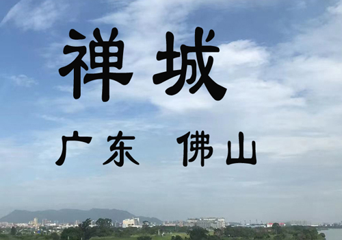 禅城区发展和改革局组织召开促消费政策措施研讨会