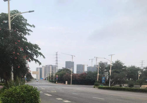 环镇路：顺德区的风景走廊