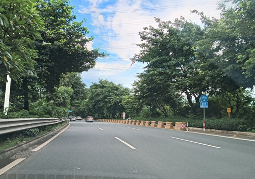 魅力扶闾大道：顺德区的交通动脉与发展新篇