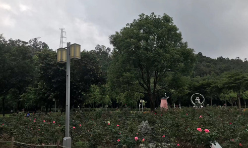 象山：顺德的自然瑰宝