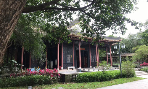 大金山森林公园：顺德的绿色宝藏