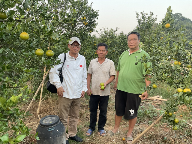 佛山农技在德庆皇帝柑果农推广应用首获成功