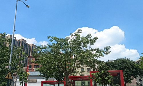 佛山市禅城区张槎一路125号4座5层厂房租赁公告