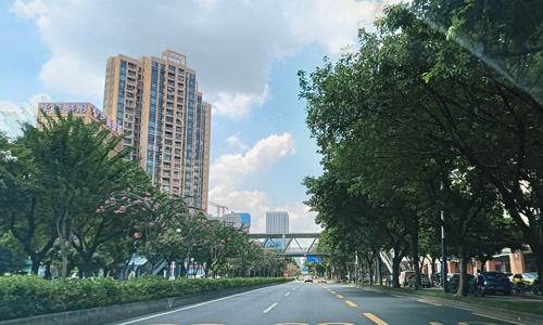 佛山市南海区星辉学校易地新建工程项目设备采购-厨房设备采购招标公告