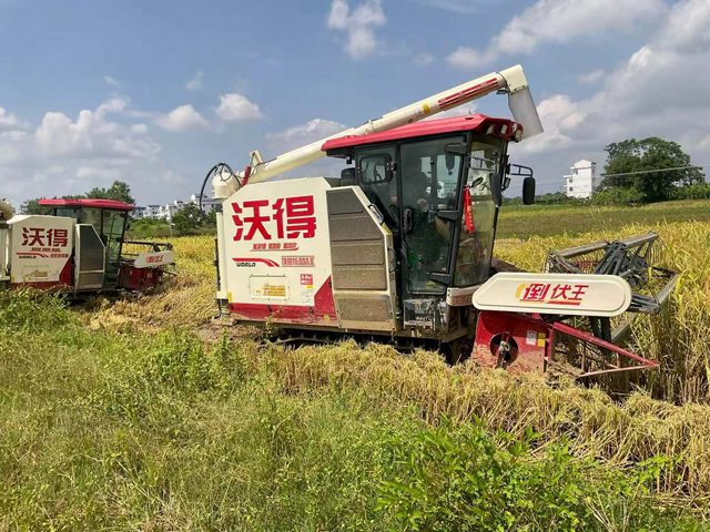 沼肥，农业发明从农业科学家到采用者的传播