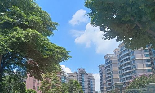 禅城区2026年139套筹集类配售型保障性住房配售通告
