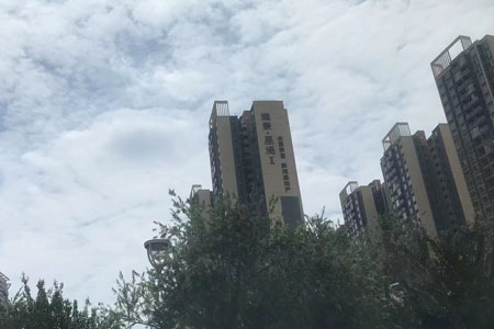 顺德区级水质自动监测站运行维护服务招标公告