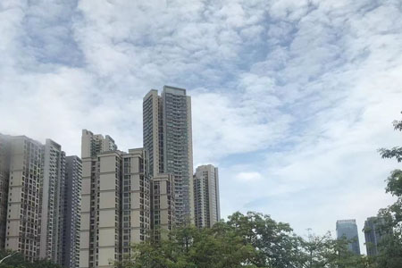 佛山市中医院三水医院医用织物租洗一体化服务项目招标公告