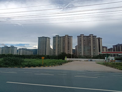 2026年禅城区桥隧定检及巡查服务项目招标公告