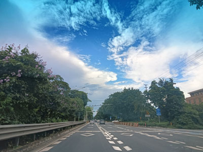 佛山市顺德区伦教街道博澳城西侧耕地公开招租项目 佛山市顺德区伦教街道博澳城西侧耕地公开招租项目